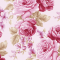 Adesivo Papel de Parede - Folhas Rosas