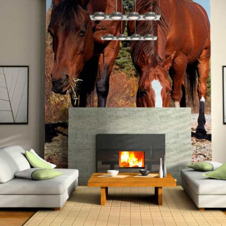 Painéis Fotográficos- Cavalos