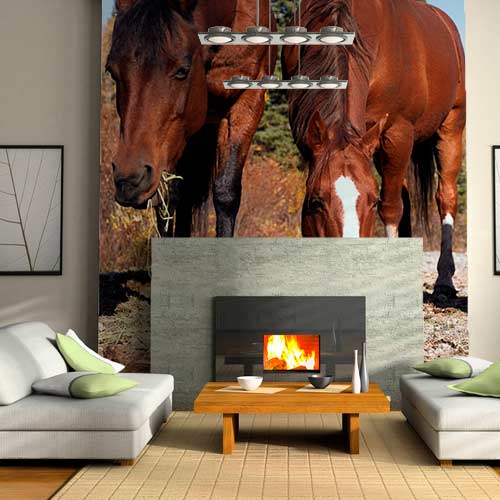 Painéis Fotográficos- Cavalos