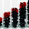 Painéis Fotográficos- Seixos vermelho e preto