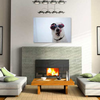 Quadros com Fotos - Cachorro com óculos