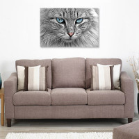 Quadros com Fotos - Gato olhos azuis