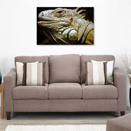 Quadros com Fotos - Iguana