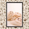 Quadrinho Decorativo - Cafeteria Biscoito