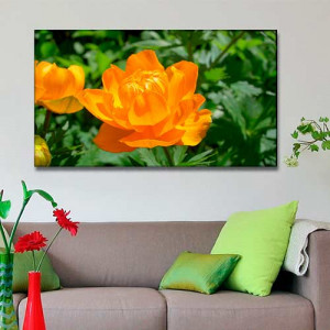 Quadro Decorativo - Flor Globo