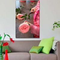 Quadro Decorativo - Jardim rosa podada