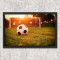 Quadros Decorativo- Campo de Futebol