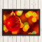 Quadro com fotos- Natal bola vermelha