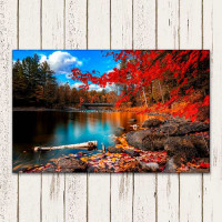 Quadro com fotos-paisagem rio de outono