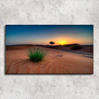 Quadro com fotos-Deserto